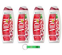 Vidal Bagnodoccia - Gel de ducha (4 unidades, con bayas de Goji y arándanos, 500 ml, incluye llavero Beni Culinari gratuito)