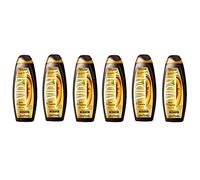 Vidal Olio di Argan Bagnodoccia - Gel de ducha orgánico (6 unidades, aceite de argán, 500 ml, gel de ducha, nutritivo y regenerado)