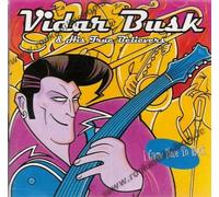 Vidar Busk - I Came Here to Rock [Import]