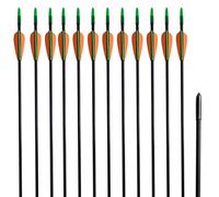 vidaXL 12x Flechas para Arco Estándar 30" 0,6 cm Fibra de Vidrio Tiro de Polea