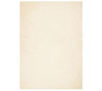 vidaXL Alfombra de Pelo Corto Suave Lavable HUARTE Crema 120x170 cm