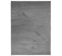 vidaXL Alfombra de Pelo Corto, Tapete de Calefacción por Suelo Radiante, Alfombrilla Esponjosa, Decoración para Salón Pasillo Oficina, Gris Antracita