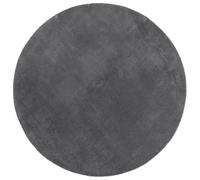 vidaXL Alfombra de Pelo Corto y Suave Lavable, Tapete de Suelo, Alfombrilla Antideslizante, Alfombra para Salón Dormitorio Pasillo, Gris Antracita