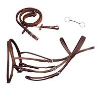 vidaXL Brida Flash de Cuero Marrón con Riendas y Bocado de Caballo Percherón