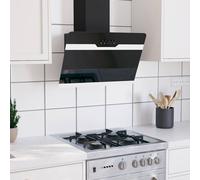 VidaXL Campana Extractora 60 Cm De Acero Y Vidrio Templado Negro