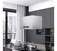 vidaXL Campana extractora colgante táctil LCD acero inoxidable 55 cm