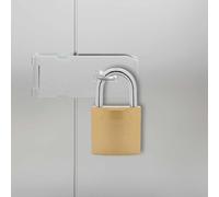 vidaXL Cerradura en U con llaves 100 piezas de hierro de latón, duradero, resistente a la intemperie, cerradura segura para almacenamiento, armarios, interiores y exteriores, muchas llaves