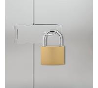 vidaXL Cerradura en U con llaves, 50 unidades, latón y hierro, elegante cerradura en U, rectangular, moderna, duradera, resistente a la intemperie, sistema de llaves, alta seguridad para