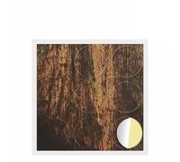 vidaXL Cubierta de Tornillo Autoadhesiva 12 pcs Madera vieja, Herramientas geniales, accesorios confiables, hardware compacto, componentes fáciles de usar, kit de bricolaje esencial para cualquier ta