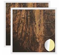 vidaXL Cubierta de Tornillo Autoadhesiva 2 pcs Madera vieja, Herramientas geniales, accesorios confiables, hardware compacto, componentes fáciles de usar, kit de bricolaje esencial para cualquier tar