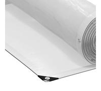 vidaXL Cubierta para plantas transparente, 2,5 x 1 m, de polietileno, rectangular, para jardín y terraza, moderna, para exteriores, protección contra la intemperie