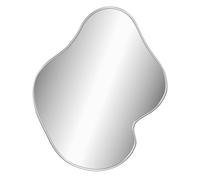 vidaXL Espejo de Pared Colgante Dormitorio Salón Sala de Estar Pasillo Tocador Comedor Cuarto de Baño Entrada Decoración Hogar Plateado