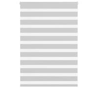 vidaXL Estor Cebra Gris Claro 100x100cm Tejido Ancho 95,9cm poliéster, Estor Doble, Estor Enrollable Cebra, Cortina Cebra, Estor Doble