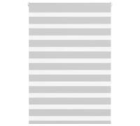 vidaXL Estor Cebra Gris Claro 100x150 cm Tejido Ancho 95,9cm poliéster, Estor Doble, Estor Enrollable Cebra, Cortina Cebra, Estor Doble