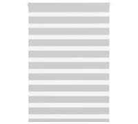 vidaXL Estor Cebra Gris Claro 105x150cm Tejido Ancho 100,9cm poliéster, Estor Doble, Estor Enrollable Cebra, Cortina Cebra, Estor Doble