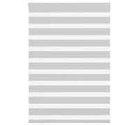vidaXL Estor Cebra Gris Claro 95x100cm Tejido Ancho 90,9 cm poliéster, Estor Doble, Estor Enrollable Cebra, Cortina Cebra, Estor Doble