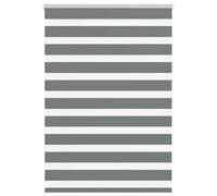 vidaXL Estor Cebra Gris Oscuro 95x150cm Tejido Ancho 90,9 cm poliéster, Estor Doble, Estor Enrollable Cebra, Cortina Cebra, Estor Doble