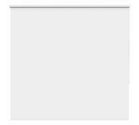 vidaXL Estor Enrollable Opaco Blanco 160x175 cm Tela Ancho 156,6 cm, Estor día y Noche, Estor de Cocina, Estor Opaco Enrollable, Estor Opaco