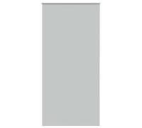 vidaXL Estor Enrollable Opaco Gris Claro 110x210 cm Tela Ancho 105,7cm, Estor día y Noche, Estor de Cocina, Estor Opaco Enrollable, Estor Opaco