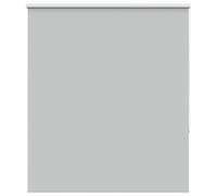 vidaXL Estor Enrollable Opaco Gris Claro 120x150 cm Tela Ancho 116,6cm, Estor día y Noche, Estor de Cocina, Estor Opaco Enrollable, Estor Opaco
