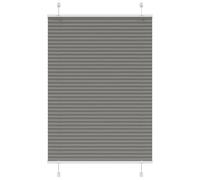 vidaXL Estor Plisado Antracita 100x150 cm Tela Ancho 99,4 cm Poliéster, Estor Plisado para Ventana, Estor Plisado para Ventana, Estor Tipo acordeón para Ventana