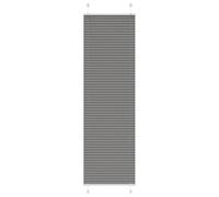 vidaXL Estor Plisado Antracita 55x200 cm Tela Ancho 54,4 cm Poliéster