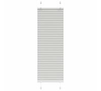 vidaXL Estor Plisado Gris Claro 45x100 cm Tela Ancho 44,4 cm Poliéster, Estor Plisado para Ventana, Estor Plisado para Ventana, Estor Tipo acordeón para Ventana