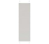 vidaXL Estor Plisado Gris Claro 60x200 cm Tela Ancho 59,4 cm Poliéster, Estor Plisado para Ventana, Estor Plisado para Ventana, Estor Tipo acordeón para Ventana