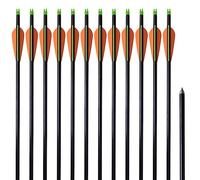 vidaXL Flechas para arco Estándar 30" 0,8 cm Fibra de vidrio para tiro de polea 12 unidades