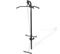 vidaXL Gimnasio en casa de pared con 2 poleas