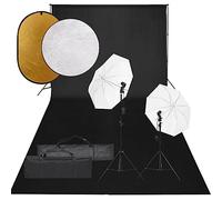 vidaXL Kit de Estudio Fotográfico con Set de Luces, Fondo y Reflector Soporte Pantalla Foto Video Sistema Lámparas Luz Iluminación Plegable