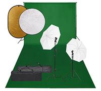 vidaXL Kit de Estudio Fotográfico con Set de Luces, Fondo y Reflector Soporte Pantalla Foto Video Sistema Lámparas Luz Iluminación Plegable