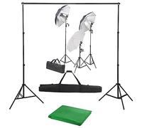 vidaXL Kit de Estudio Fotográfico, Kit con Set de Luces y Fondo, Lámparas para Fotografía, Kit de Iluminación Soportes y Telón de Fondo