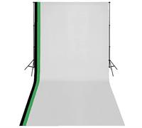 vidaXL Kit Estudio Fotográfico 3 Telones Fondo Algodón 3x6 m Estructura Foto