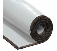 vidaXL Lona Transparente con Ojales Polietileno 4x10 m, Lona Transparente, Lona Transparente de Alta Resistencia, Lona Transparente, Lona Transparente