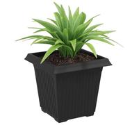 vidaXL Maceta Cuadrada para Flores 24 pcs Negro 16 x 16 x 14 cm, Macetero Cuadrado Moderno, Recipiente de Plástico Ligero para Decorar Balcón, Interior y Jardín