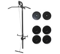 vidaXL Máquina de musculación de Pared con Discos de Peso 40 kg