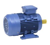 vidaXL Motor Eléctrico Trifásico Asíncrono Compresor Polipastos Cabrestantes Corriente Alterna Industrial Agrícola 4kW/5,5HP 2 Polos 2840 RPM