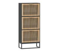 vidaXL Mueble Zapatero, Estantería de Zapatos Almacenamiento, Organizador Zapatos, Mueble de Salón, Estilo Escandinavo, Madera Contrachapada Negro