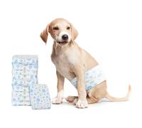 vidaXL Pañal Desechable para Perro Macho 30 pcs XL, Estilo arquitectónico, Formas rectangulares, diseño Moderno, Conceptos bidimensionales, eficiencia Estructural, Espacios funcionales