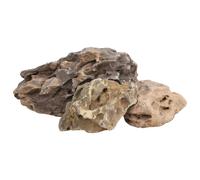 vidaXL Piedras de dragón gris 10 kg 10-40 cm