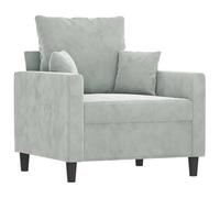 vidaXL Sillón, Asiento con Reposabrazos Respaldo, Sillón de Descanso Relax Televisión, Sofá Tapizado para Salón Hogar, Terciopelo Gris Claro