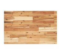 vidaXL Tablero Escritorio Madera Maciza Acacia sin Tratar 100x50x2 cm, encimera, encimera de baño, encimera de Garaje, encimera de Cocina