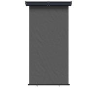 vidaXL Toldo Lateral para balcón 160 x 250 cm, Funda Exterior, toldo retráctil, Resistente a la Intemperie, Pantalla de privacidad, protección Solar para tu Patio