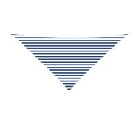 vidaXL Toldo Vela de Sombra Azul y Blanco 4 x 4 x 5,8 m, Solución para Exteriores, Tela de Sombreo Triangular UV, Elegante Toldito para Jardín, Balcón, Área de Juego