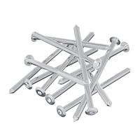 vidaXL Tornillo 12 pcs Plateado M6 x 100 mm Acero, Aventuras, cilíndricas, expediciones, de noche, mostrando vistas únicas y experiencias inolvidables a lo largo del viaje