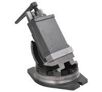 vidaXL Tornillo de Banco Basculante de 2 Ejes Trabajo Deslizamiento Cruzado Transversal Base Giratoria para Máquinas Mordaza de Sujeción 160 mm