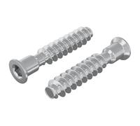 vidaXL Tornillo de cabeza cap 2 pcs Plateado M7 x 40 mm Acero, Contenedores cilíndricos duraderos para almacenar, organizar y transportar artículos de manera eficiente, comprobados para un uso prolon
