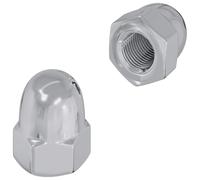 vidaXL Tuerca 2 pcs Plateado M6 x 10 mm Hierro, Una nueva perspectiva, retos redondos, otras soluciones encontradas, transformando ideas innovadoras en realidad