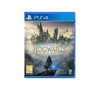 Videogioco Warner Hogwarts Legacy